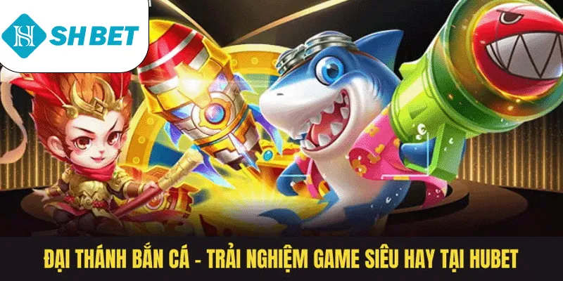 Banner songsongkim.vn