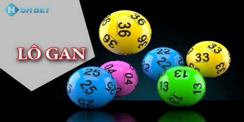 Banner songsongkim.vn