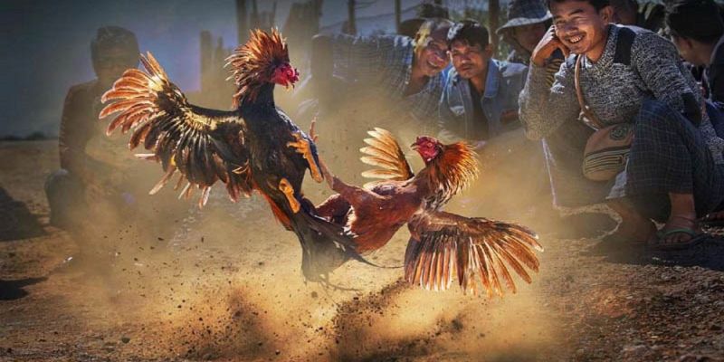 Banner songsongkim.vn