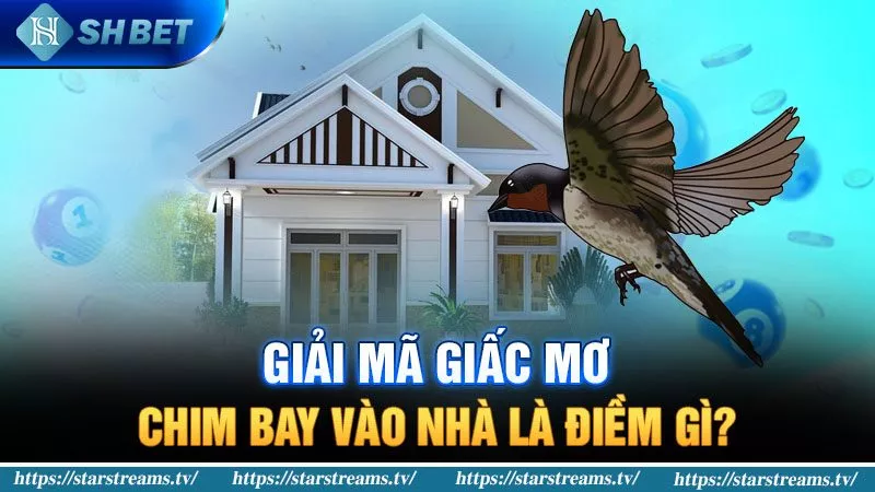 Banner songsongkim.vn