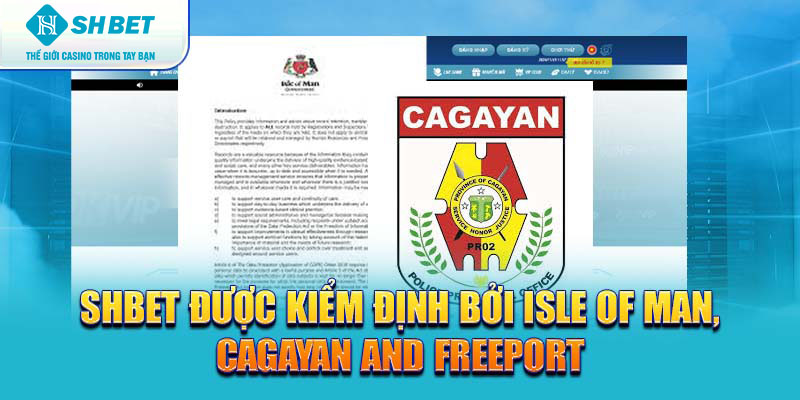 Banner songsongkim.vn