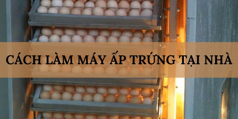 Banner songsongkim.vn