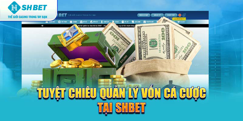 Banner songsongkim.vn